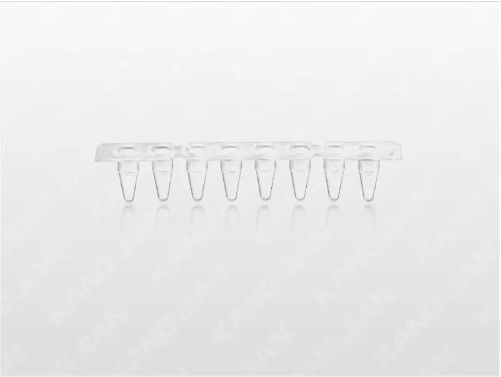 형광 정량 PCR 튜브