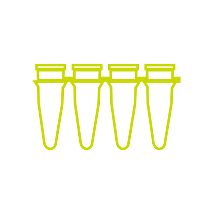 PCR 튜브
